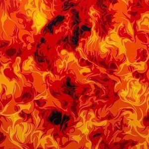 Meet your Posher, Sasha